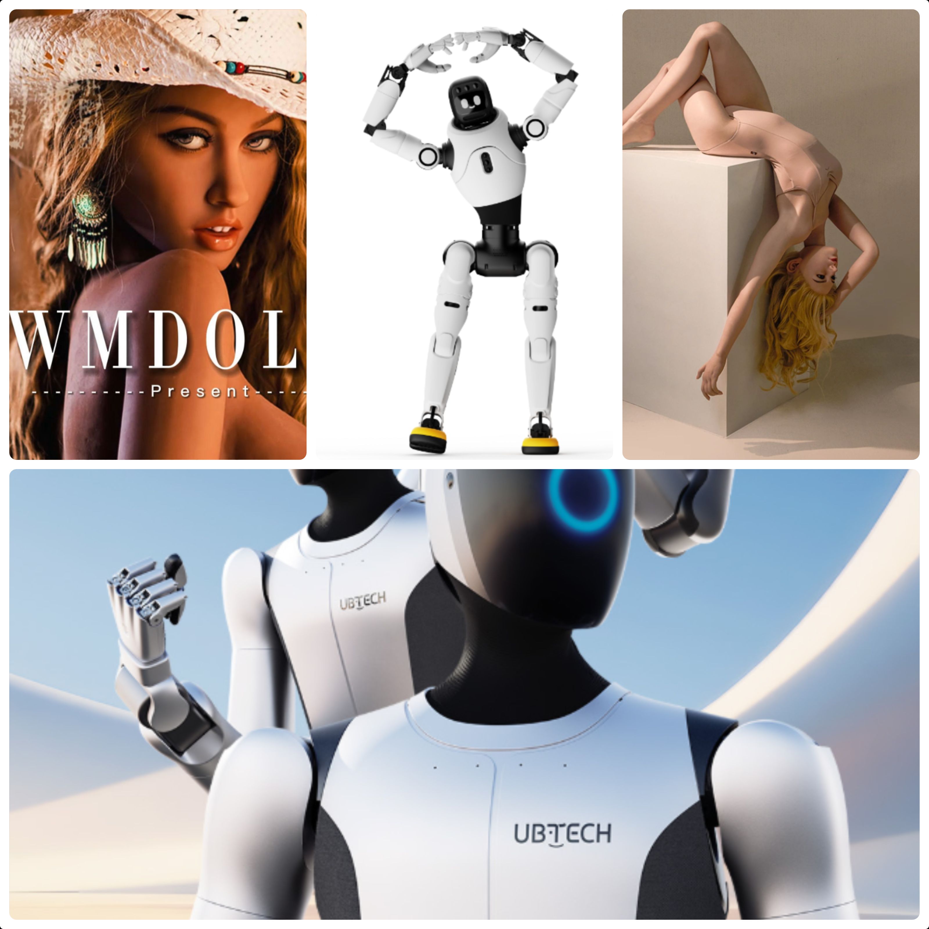 Collage of representative robots from Zhiyuan Robotics, UBTech Walker humanoids, and DeepRobotics Jueying industrial quadrupeds
